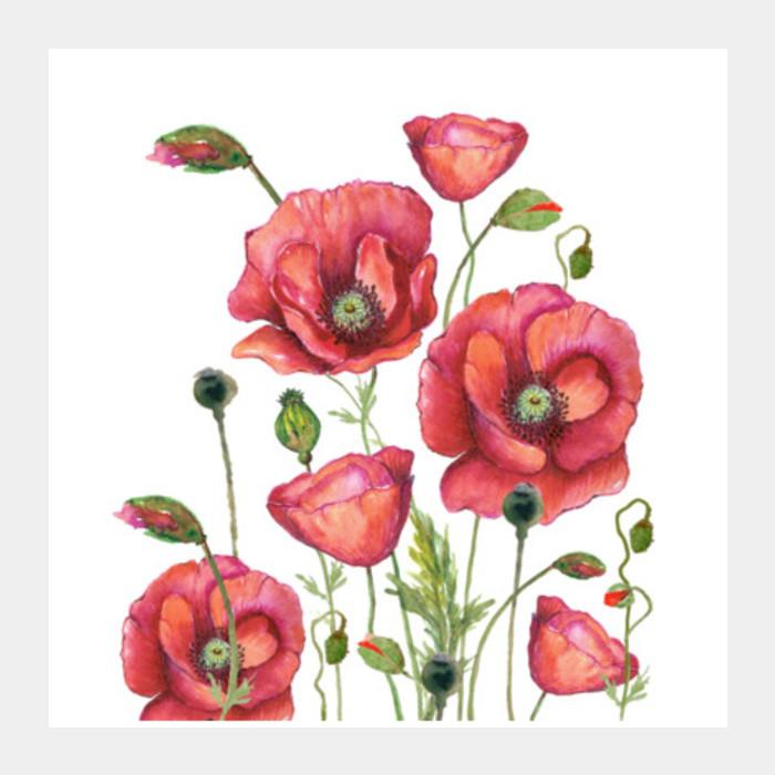 700x700 Poppy Flowers Watercolor Painting Elegant Floral Art Design Square - Poppy Flower Watercolor