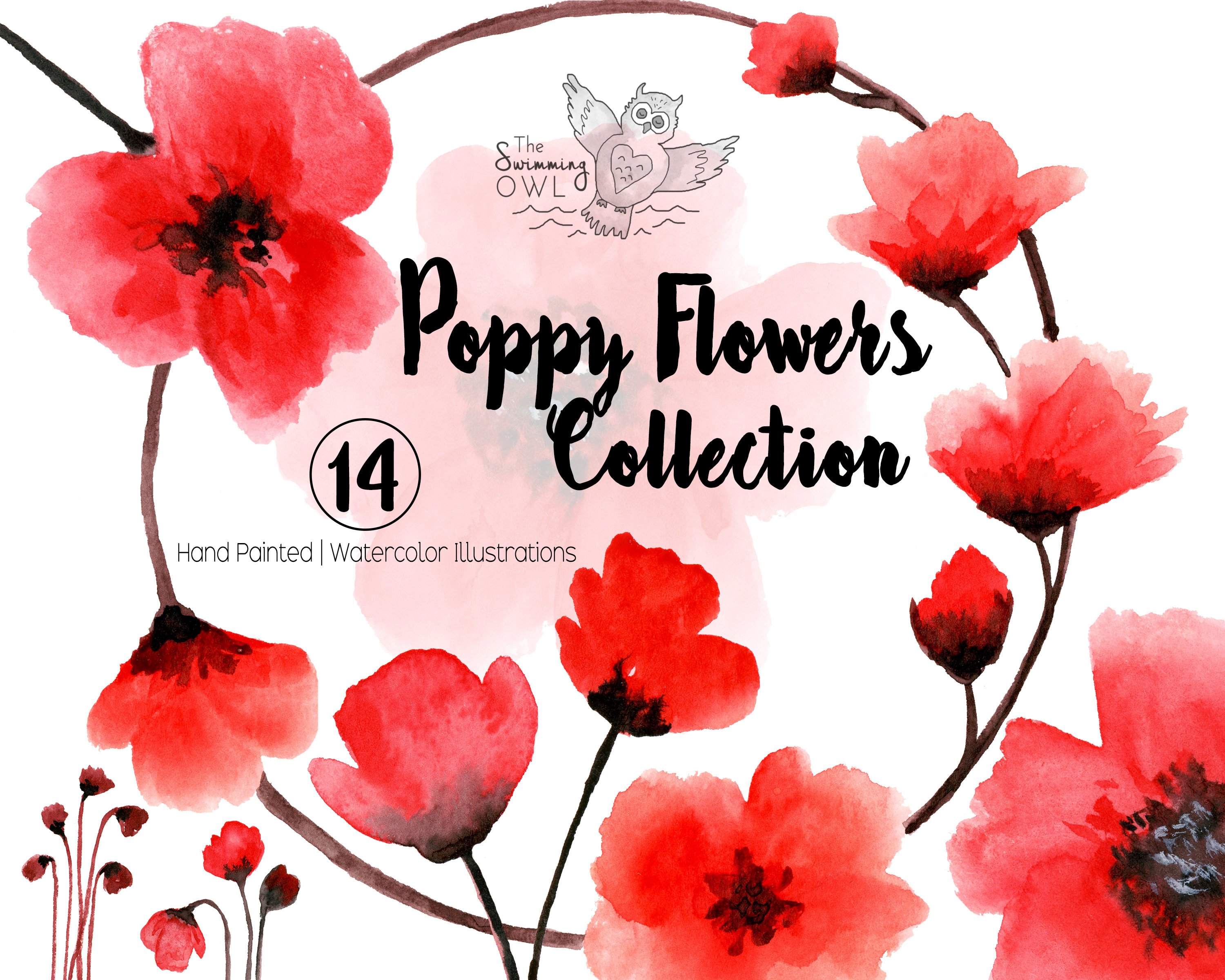 3000x2400 Watercolor Clipart Poppy Flowers Red Flowers Floral Etsy - Poppy Flower Watercolor