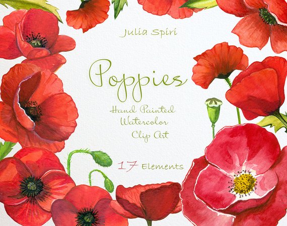 570x449 Watercolor Poppies Flowers Clipart Poppy Hand Painted Etsy - Poppy Flower Watercolor