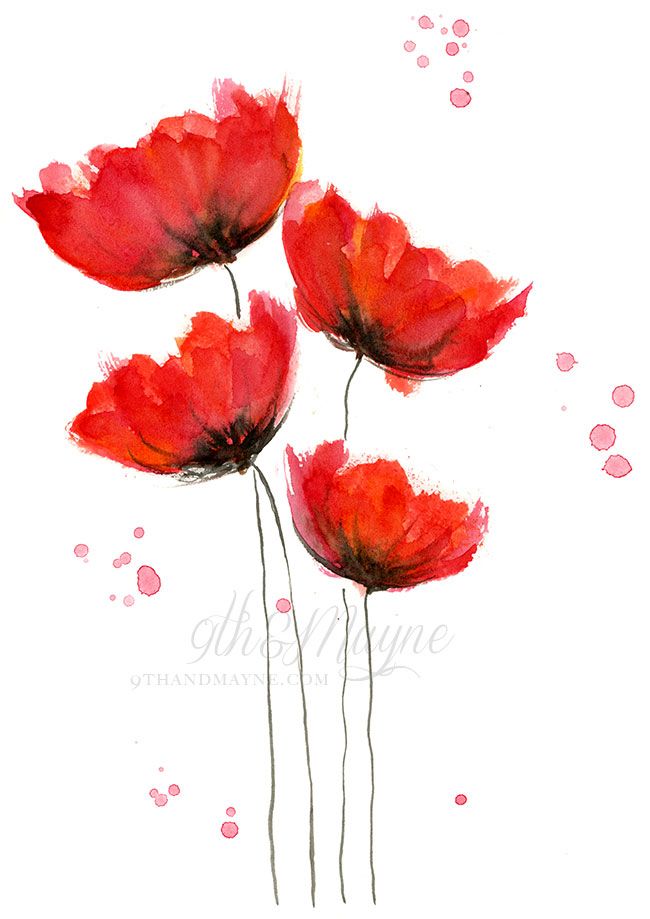 650x919 Watercolor Poppies Red - Poppy Flower Watercolor