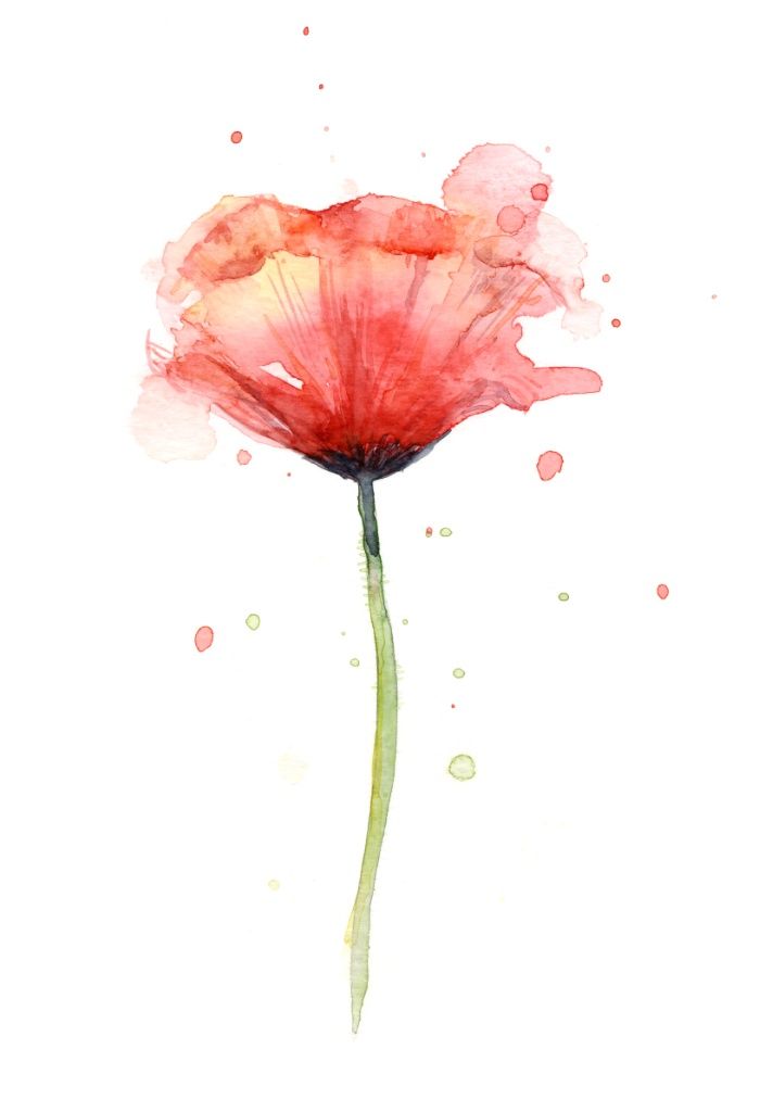 700x1024 Wildsunshine Poppy - Poppy Flower Watercolor
