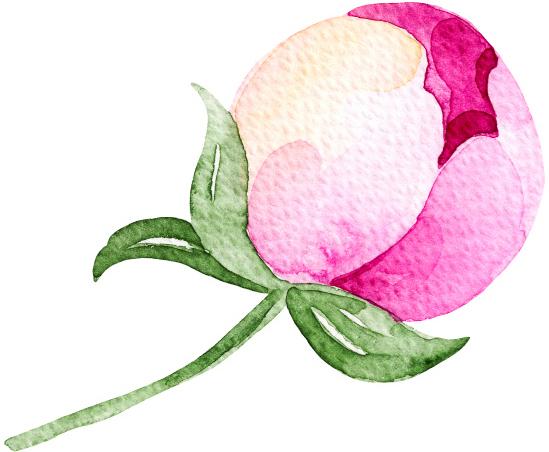 549x452 Pretty Watercolor Hipster Spring Paint Art - Pretty Watercolor