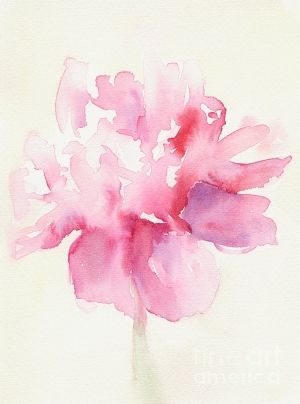 300x404 Pretty Watercolor Flower. Love This For A Tattoo....shoulder - Pretty Watercolor Flowers