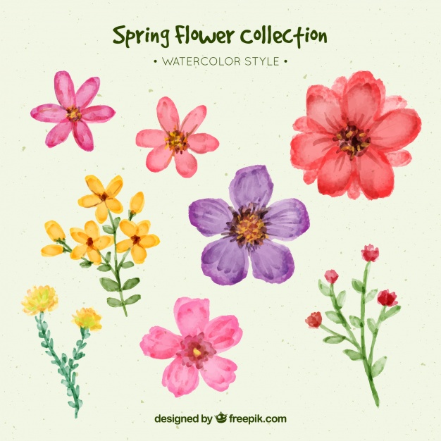 626x626 Set Of Pretty Watercolor Flowers Vector Free Download - Pretty Watercolor Flowers