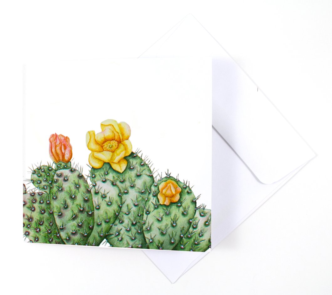 1060x942 Prickly Pear Cactus Watercolor Card Laura Ashton Illustration - Prickly Pear Watercolor