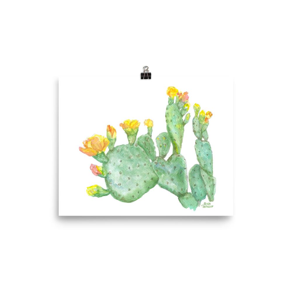 1000x1000 Prickly Pear Cactus Watercolor Susan Windsor - Prickly Pear Watercolor
