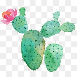 260x260 Prickly Pear Png Images Vectors And Psd Files Free Download On - Prickly Pear Watercolor