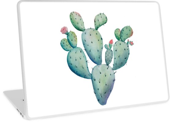 558x400 Prickly Pear Watercolor Desert Cactus Laptop Skins By - Prickly Pear Watercolor