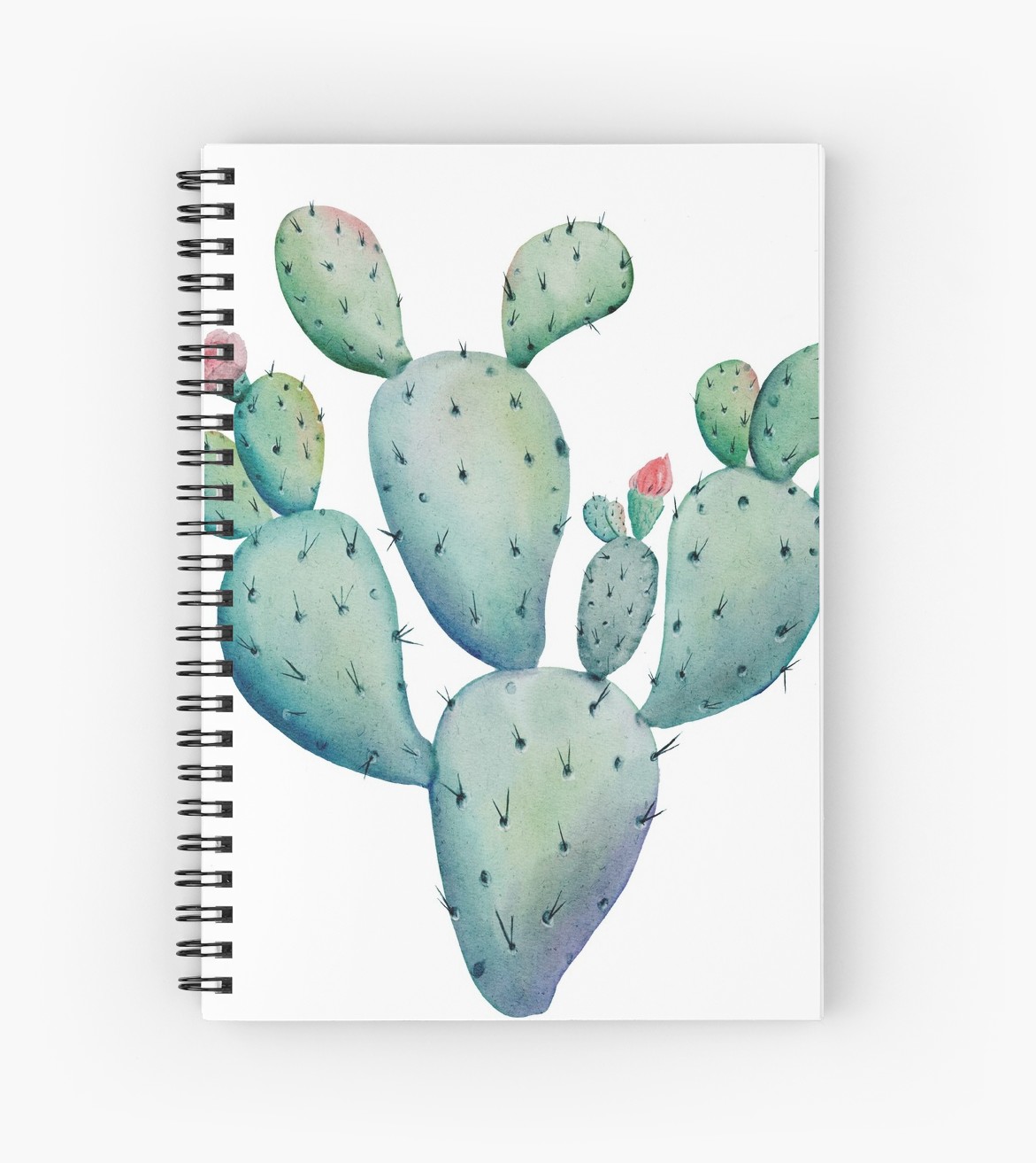 1171x1313 Prickly Pear Watercolor Desert Cactus Spiral Notebooks By - Prickly Pear Watercolor