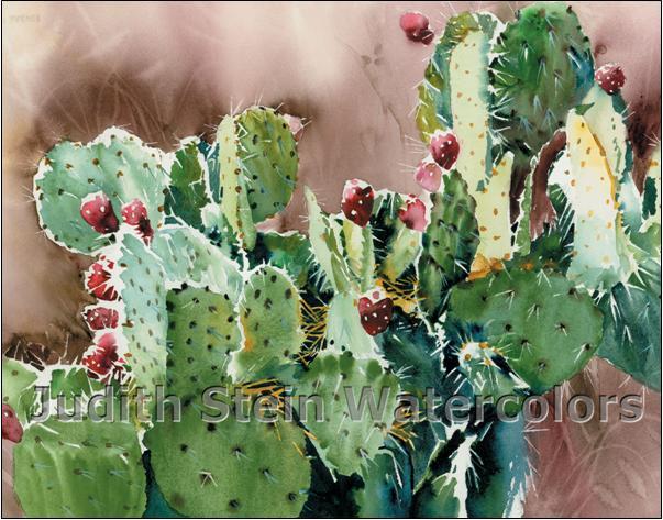 603x473 Southwest Cactus, Red Tuna Fruit, Desert By Steinwatercolors On Zibbet - Prickly Pear Watercolor
