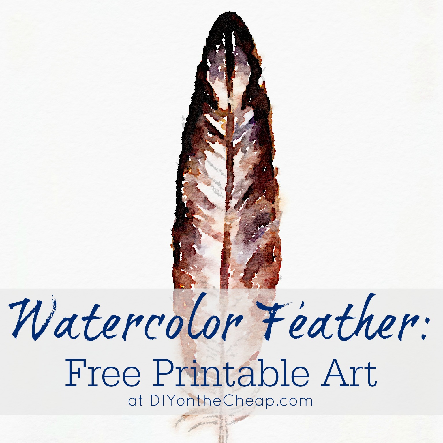 1536x1536 Watercolor Feather Free Printable Art - Printable Watercolor Art