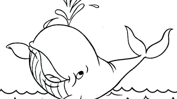 585x329 Printable Whale Shark Coloring Pages How To Draw A Drawings Color - Printable Watercolor Pages