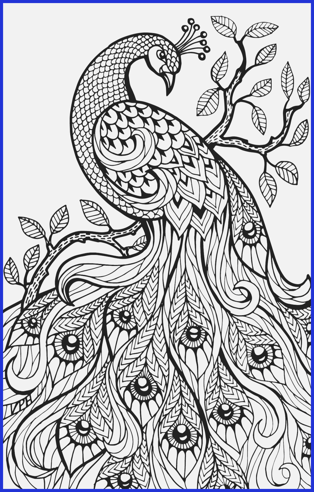 Coloring Book For Adults Watercolor - 1500+ SVG File for Silhouette