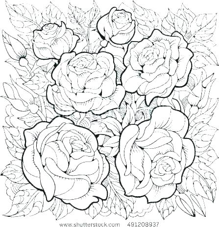 447x470 Color - Printable Watercolor Pages