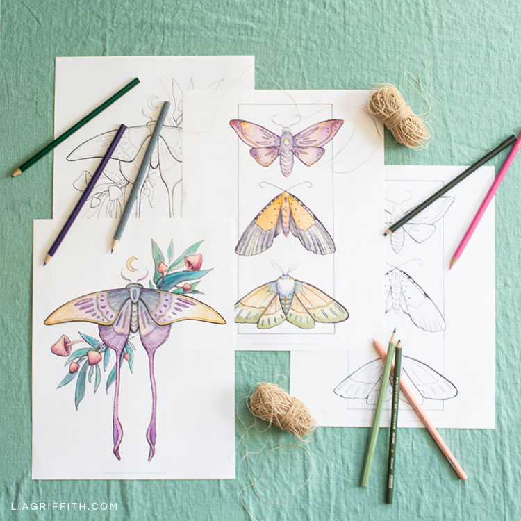 750x750 Elegant Moths Halloween Coloring Pages - Printable Watercolor Pages