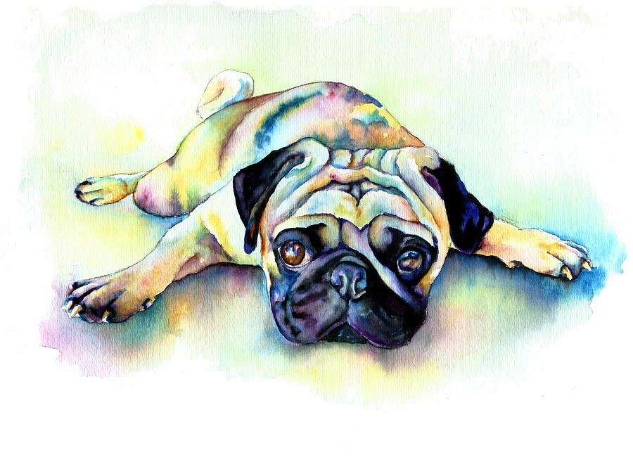 900x657 Pug Laying Flat Painting By Christy Freeman - Pug Watercolor