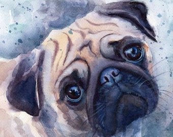 340x270 Watercolor Painting Of A Woman With Pug. Watercolor Pug Etsy - Pug Watercolor