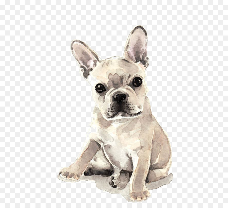 900x820 French Bulldog Puppy Watercolor Painting Fawn - Puppy Watercolor