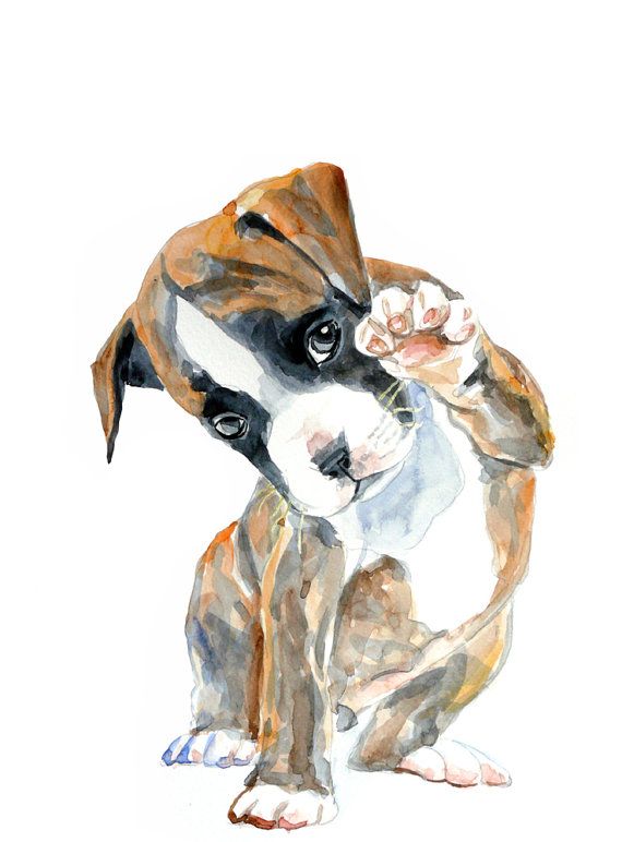 570x772 Puppy Watercolor Painting Art Print Dog By Mundomeo On Etsy - Puppy Watercolor