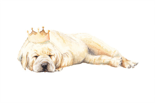 498x332 Watercolor Puppy Crown Greeting Card Cute Dog - Puppy Watercolor