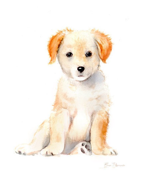 570x760 Watercolor Puppy Print Labrador Puppy Dog Art Handmade Etsy - Puppy Watercolor