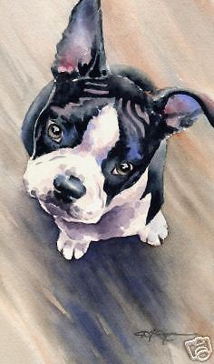 236x400 Boston Terrier Puppy Watercolor Dog 8 X 10 Art Print Signed Djr - Puppy Watercolor