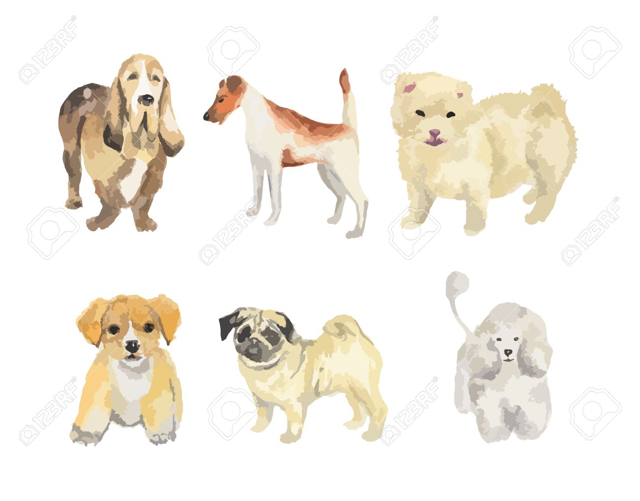 1300x1018 Clipart Puppy Watercolor - Puppy Watercolor