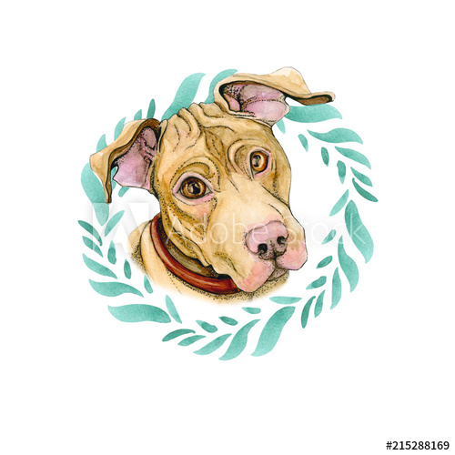 500x500 Dog Pit Bull Terrier In A Wreath Of Leaves. Puppy Watercolor Is - Puppy Watercolor