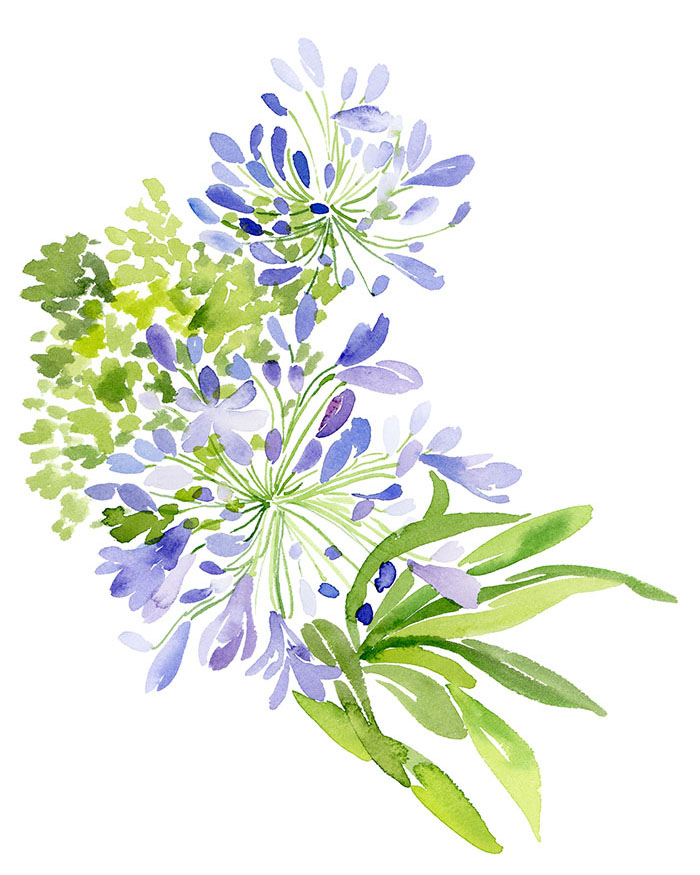 700x875 Purple Flower Watercolor Yao Cheng Design - Purple Flower Watercolor