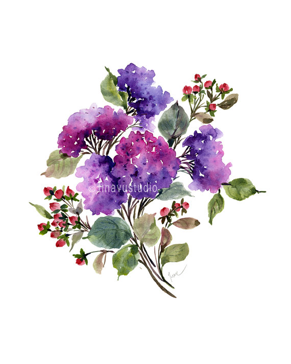 570x713 Purple Hydrangea Bouquet, Hydrangea Painting, August Birthday - Purple Flower Watercolor