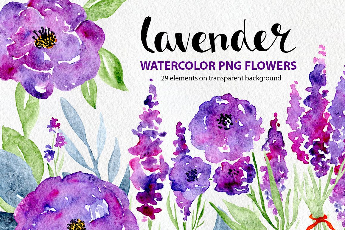 1158x772 Watercolor Violet Lilac Lavender, Roses Flowers - Purple Flower Watercolor