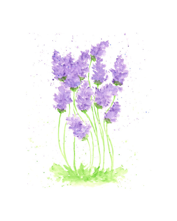 570x713 Watercolor Painting, Watercolor Flowers, Flower Print, Lavender - Purple Flower Watercolor