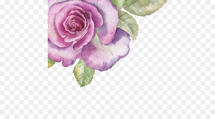 900x500 Download Watercolour Flowers Watercolor Painting Rose Hand Painted - Purple Flower Watercolor