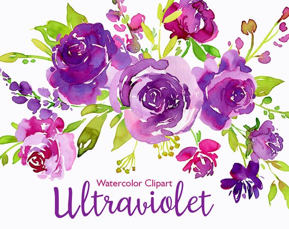570x452 Watercolor Floral Clip Art Ultra Violet Purple Green Flowers Etsy - Purple Green Watercolor