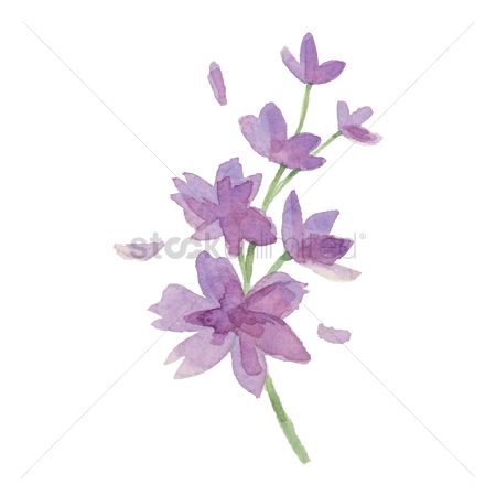450x450 Free Purple Watercolor Flowers Stock Vectors Stockunlimited - Purple Watercolor Flowers