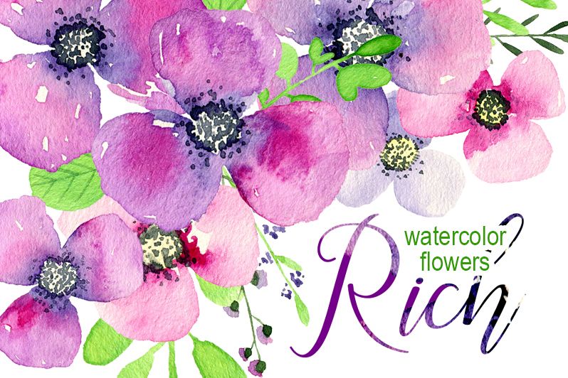 798x532 Violet Amp Purple Watercolor Flowers - Purple Watercolor Flowers