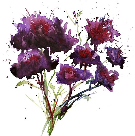 548x550 Dark Purple Watercolor Flowers Photographic Prints By - Purple Watercolor Flowers