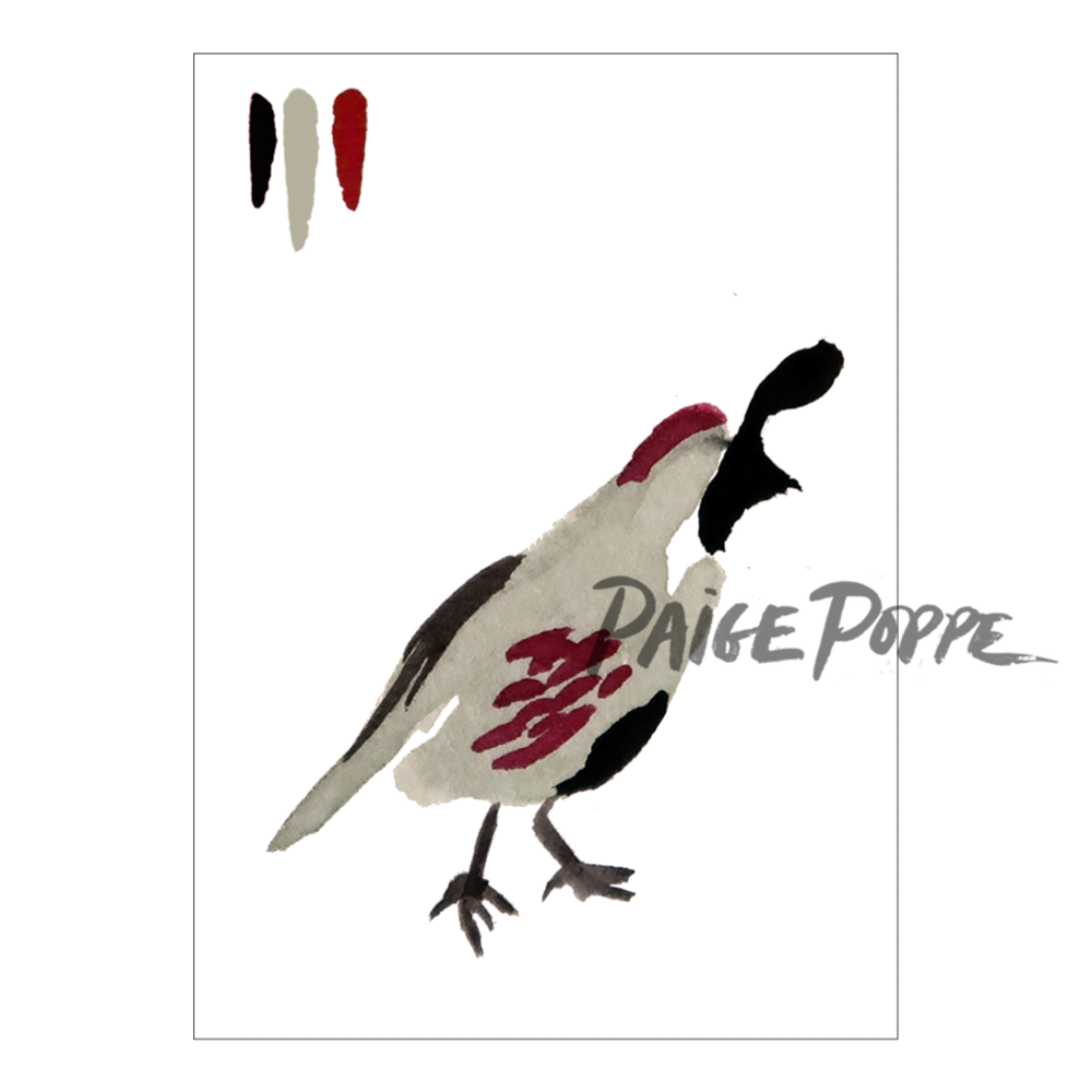 1000x1000 Desert Quail Watercolor Print Paige Poppe - Quail Watercolor