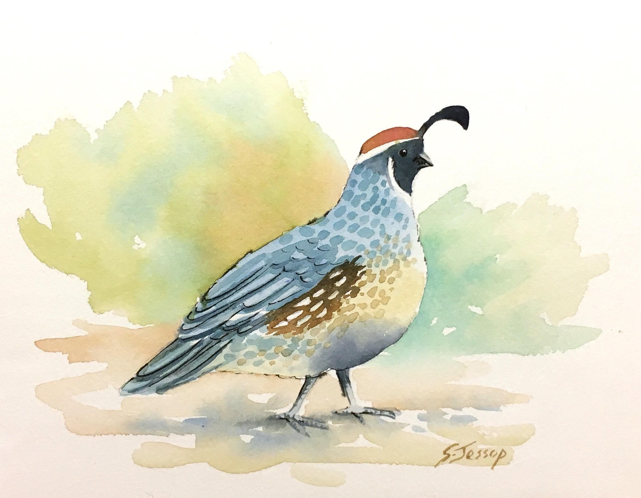 2128x1655 Desert Quail Original Watercolor - Quail Watercolor