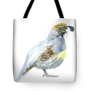 180x180 Quail Watercolor Painting Painting By Susan Windsor - Quail Watercolor