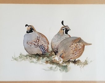 Quail Watercolor at PaintingValley.com | Explore collection of Quail
