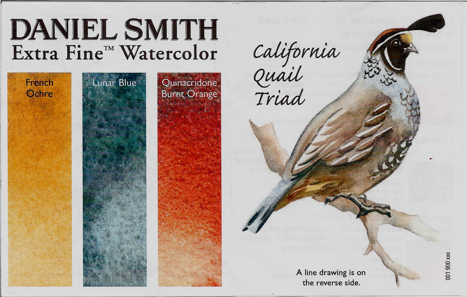 1600x1016 Review Daniel Smith California Quail Watercolor Triad - Quail Watercolor