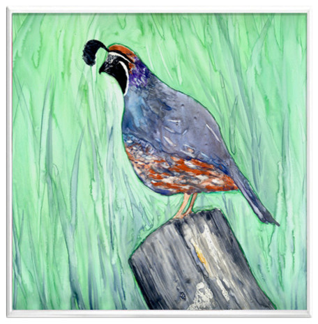 456x465 Watercolor California Quail, Valley Bird Print - Quail Watercolor