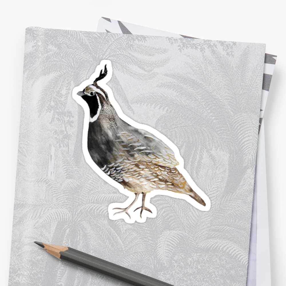 1000x1000 Watercolor Quail Stickers By Natalievmason Redbubble - Quail Watercolor