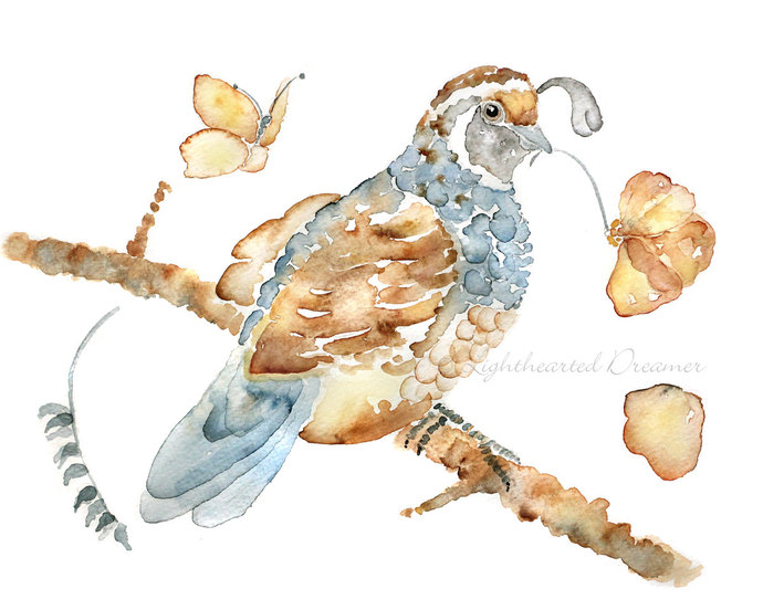 690x552 Bird Watercolor Art Print, Quail Art By Lighthearteddreamer On Zibbet - Quail Watercolor