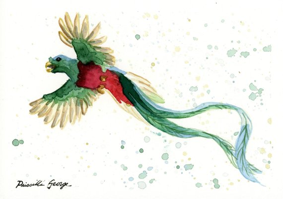 570x400 Quetzal Bird Watercolor Painting Print Wall Art Home Decor Etsy - Quetzal Watercolor