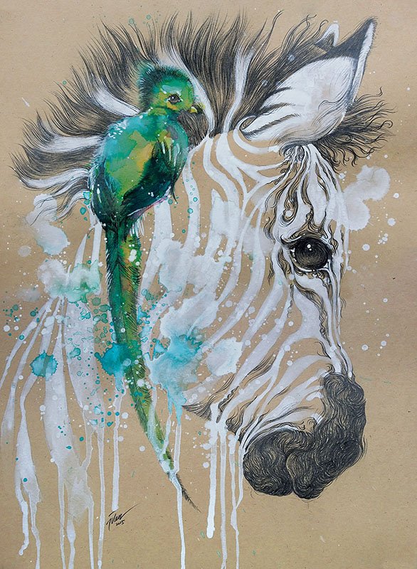 586x800 Quetzal And Zebra Watercolor With Gouache Painting A3 Art - Quetzal Watercolor
