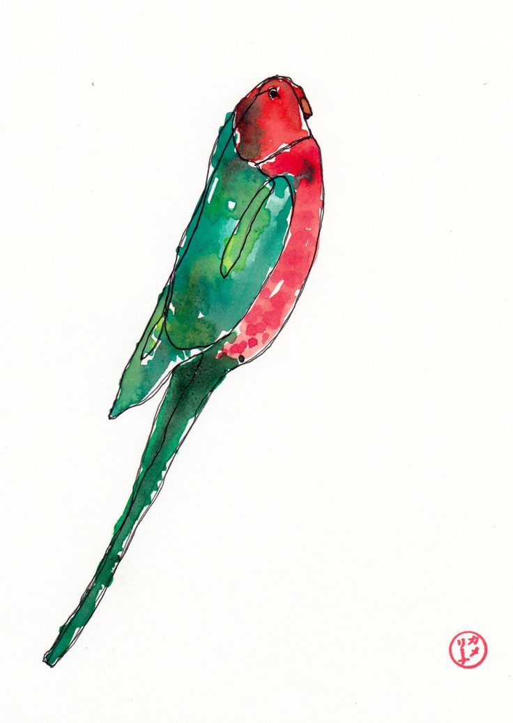 736x1037 Quetzal Clipart Watercolor - Quetzal Watercolor