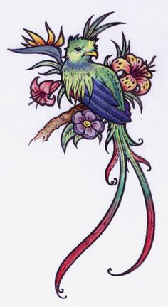236x432 Quetzal Clipart Watercolor - Quetzal Watercolor