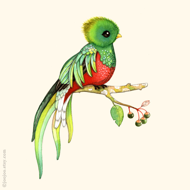 640x640 Quetzal Watercolor Painting As You Guessed This Bird Is - Quetzal Watercolor